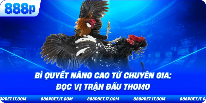 Bí Quyết Nâng Cao Từ Chuyên Gia: Đọc Vị Trận Đấu Thomo